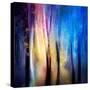 Enchanted Night-Ursula Abresch-Stretched Canvas