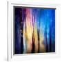 Enchanted Night-Ursula Abresch-Framed Photographic Print