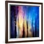 Enchanted Night-Ursula Abresch-Framed Photographic Print