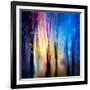 Enchanted Night-Ursula Abresch-Framed Photographic Print