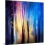 Enchanted Night-Ursula Abresch-Mounted Photographic Print