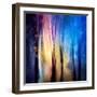 Enchanted Night-Ursula Abresch-Framed Photographic Print