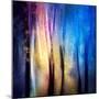 Enchanted Night-Ursula Abresch-Mounted Photographic Print