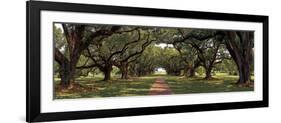 Enchanted Oaks-Mike Jones-Framed Art Print