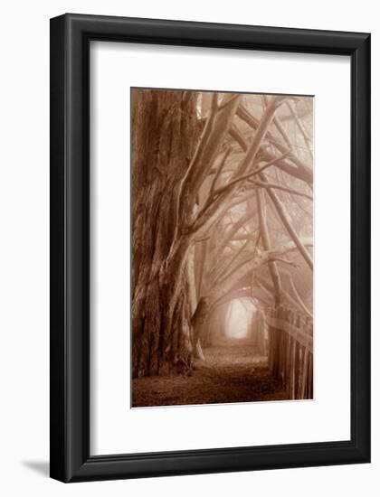 Enchanted Path-Paul Kozal-Framed Art Print