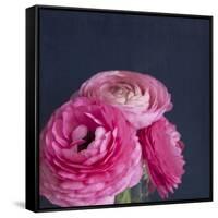 Enchanted Posies-Susannah Tucker-Framed Stretched Canvas