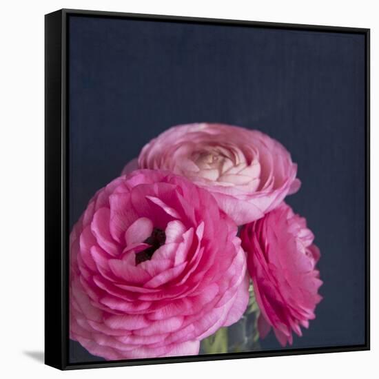 Enchanted Posies-Susannah Tucker-Framed Stretched Canvas