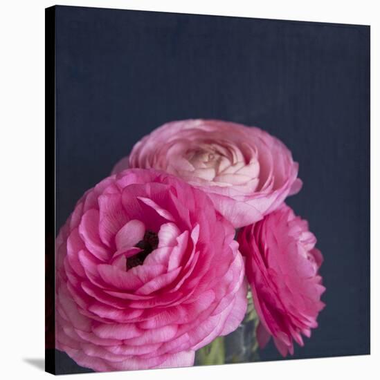 Enchanted Posies-Susannah Tucker-Stretched Canvas