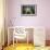 Enchanted Sunlight-Bobby Joshi-Framed Giclee Print displayed on a wall