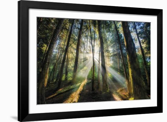 Enchanted Sunlight-Bobby Joshi-Framed Giclee Print