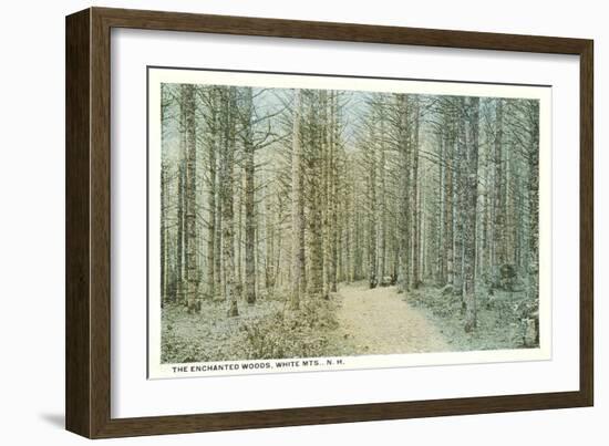 Enchanted Woods, White Mountains, New Hampshire-null-Framed Art Print