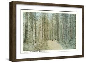 Enchanted Woods, White Mountains, New Hampshire-null-Framed Art Print