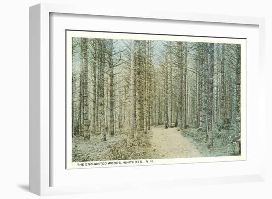 Enchanted Woods, White Mountains, New Hampshire-null-Framed Art Print