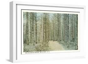 Enchanted Woods, White Mountains, New Hampshire-null-Framed Art Print