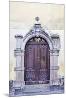 Enchanting Entrance-Irene Suchocki-Mounted Giclee Print