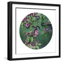 Enchanting Garden - Sphere-Irene Suchocki-Framed Giclee Print