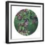 Enchanting Garden - Sphere-Irene Suchocki-Framed Giclee Print