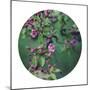 Enchanting Garden - Sphere-Irene Suchocki-Mounted Giclee Print