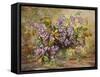 Enchanting Junetide Wisteria-Albert Williams-Framed Stretched Canvas