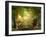 Enchanting Lush ,Fairy Tale Woodland-ratpack223-Framed Photographic Print