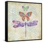 Enchanting Wings II-Paul Brent-Framed Stretched Canvas