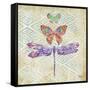 Enchanting Wings II-Paul Brent-Framed Stretched Canvas