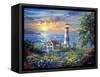 Enchantment-Nicky Boehme-Framed Stretched Canvas