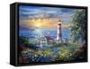 Enchantment-Nicky Boehme-Framed Stretched Canvas