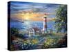 Enchantment-Nicky Boehme-Stretched Canvas