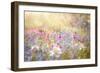 Enchantment-Jacky Parker-Framed Giclee Print