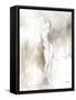 Enchantress III-Rikki Drotar-Framed Stretched Canvas