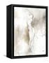 Enchantress III-Rikki Drotar-Framed Stretched Canvas