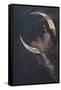 Enchantress Sitting on Moon-null-Framed Stretched Canvas