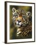 Enchantress-Barbara Keith-Framed Giclee Print