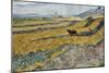 Enclosed Field with Ploughman. Date/Period: 1889. Painting. Oil on canvas. Height: 540 mm (21.25...-VINCENT VAN GOGH-Mounted Poster