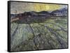 Enclosed Field with Rising Sun Saint-Remy-Vincent van Gogh-Framed Stretched Canvas