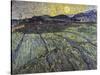 Enclosed Field with Rising Sun Saint-Remy-Vincent van Gogh-Stretched Canvas