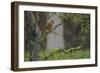 Encounter-Luis Aguirre-Framed Giclee Print