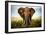 Encounters in Serengeti-Alberto Ghizzi Panizza-Framed Art Print