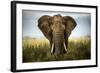 Encounters in Serengeti-Alberto Ghizzi Panizza-Framed Photographic Print