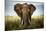 Encounters in Serengeti-Alberto Ghizzi Panizza-Mounted Photographic Print