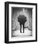 Encounters-null-Framed Art Print