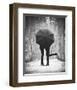 Encounters-null-Framed Art Print