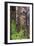 Encroaching moss and Hindu statues at My Son Sanctuary, Quang Nam Province, Vietnam-Paul Dymond-Framed Photographic Print