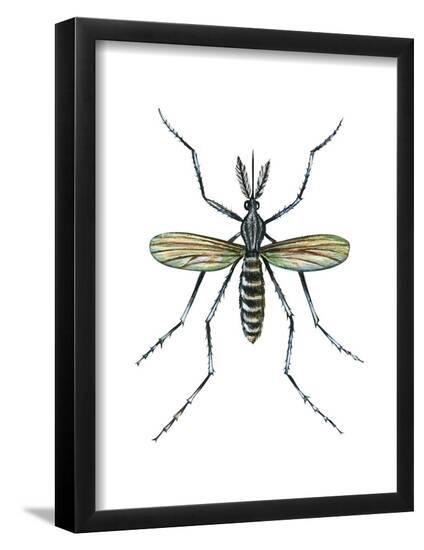 Poster, , large
