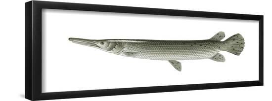 Poster, , large