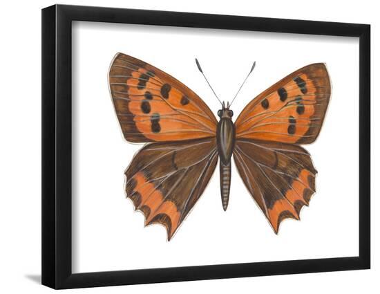 Poster, , large