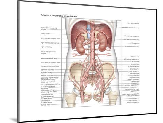Poster, , large