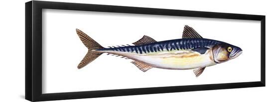 Poster, , large