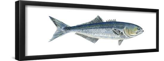 Poster, , large